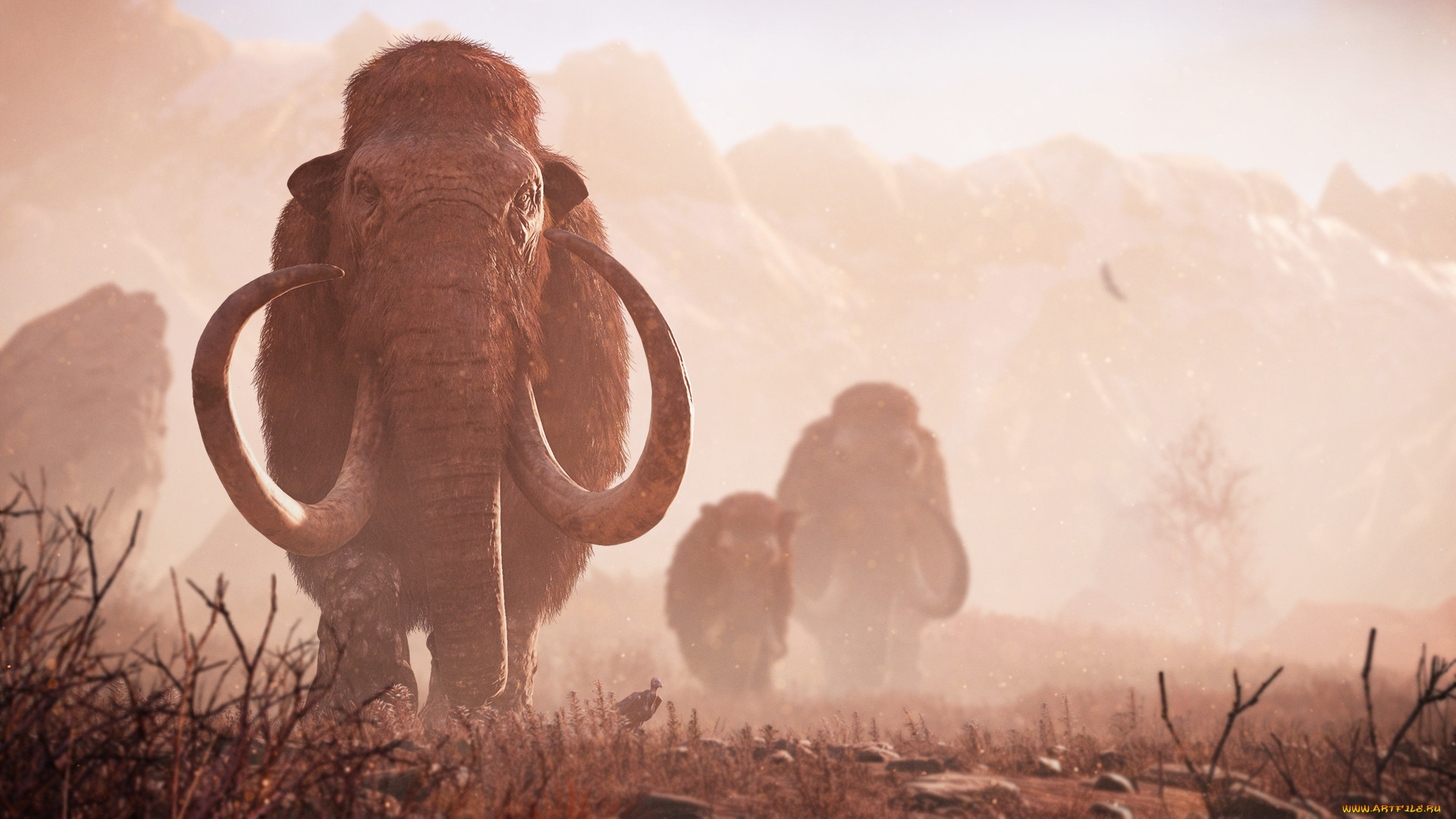  , far cry,  primal, 